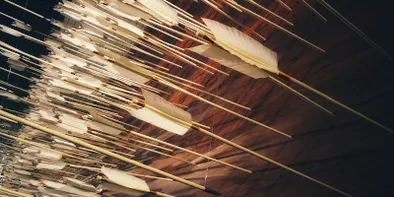 O multime de sageti albe infipte intr-un perete de lemn maro, vazute de aproape