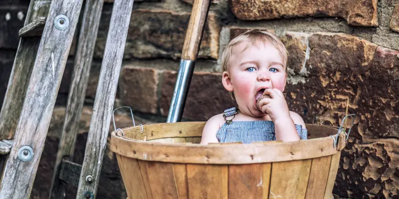 Un copil mic sta intr-un butoi si mananca un cartof cu pofta