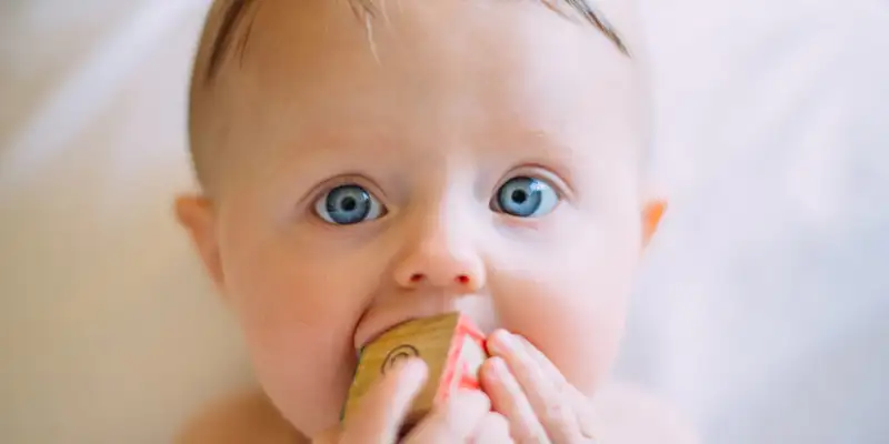 Un sugar cu ochi albastrii si o jucarie in gura